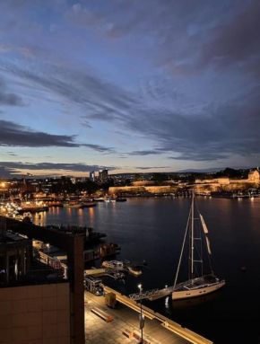 Apartment with amazing view Oslo